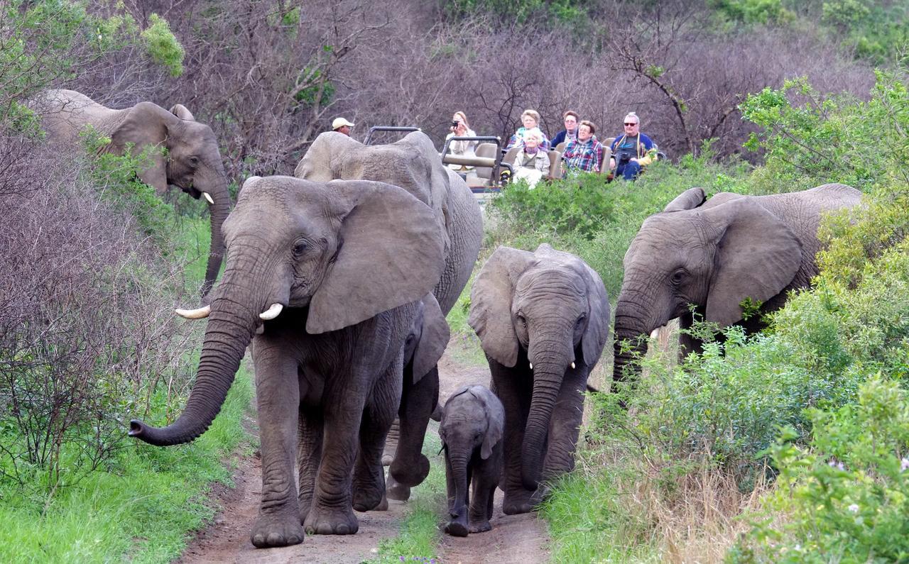 Thula Thula Exclusive Private Game Reserve & Lodge Ntambanana Buitenkant foto