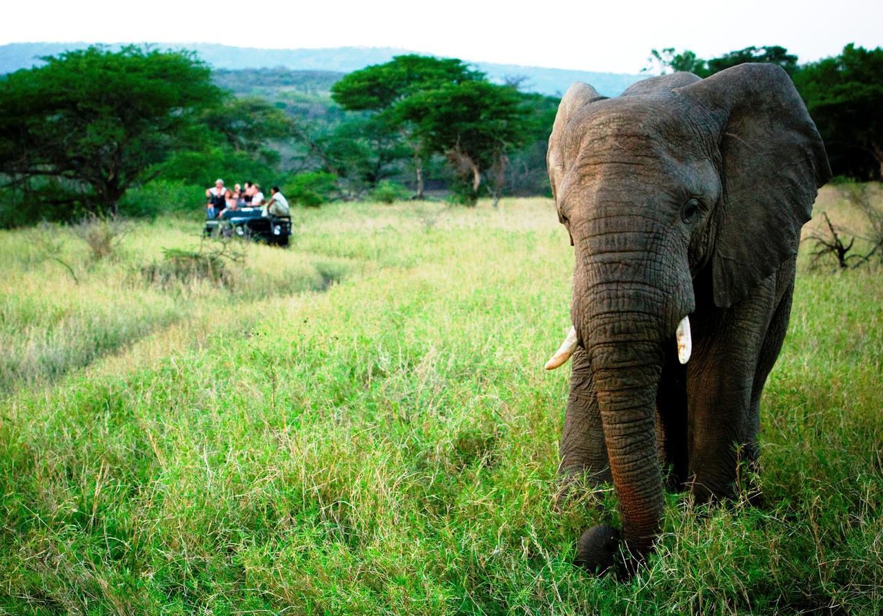 Thula Thula Exclusive Private Game Reserve & Lodge Ntambanana Buitenkant foto