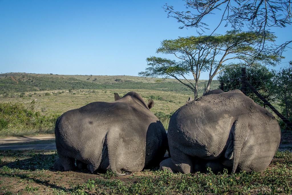 Thula Thula Exclusive Private Game Reserve & Lodge Ntambanana Buitenkant foto