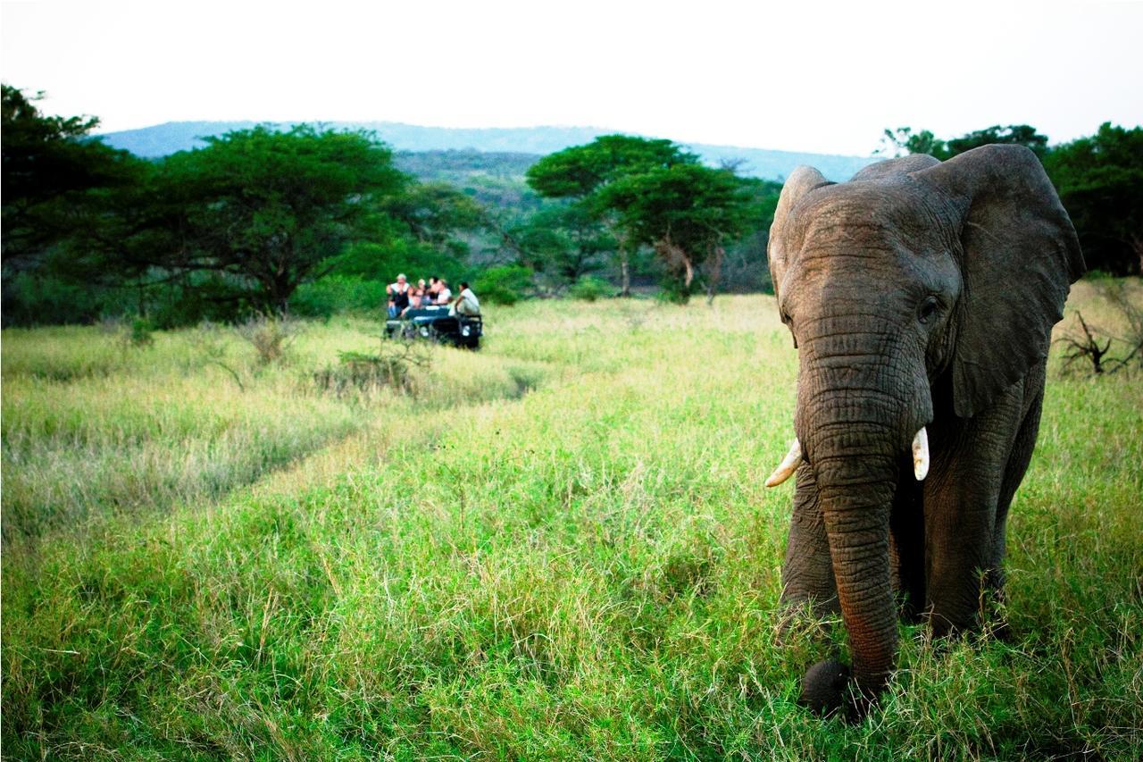 Thula Thula Exclusive Private Game Reserve & Lodge Ntambanana Buitenkant foto